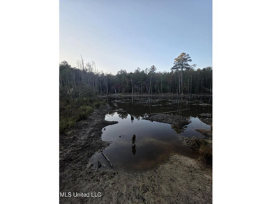 +/-80 Acres - Smith County, MS | Mize School District Located - photo 32