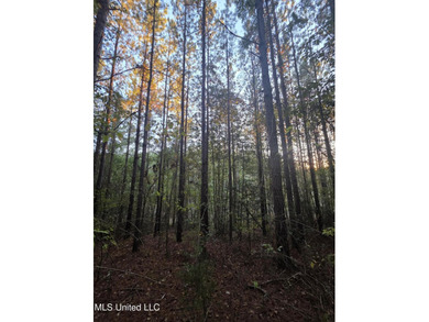 +/-80 Acres - Smith County, MS | Mize School District Located - photo 33