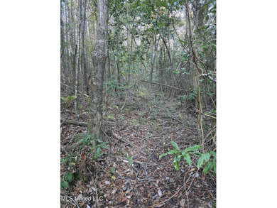 +/-80 Acres - Smith County, MS | Mize School District Located - photo 34