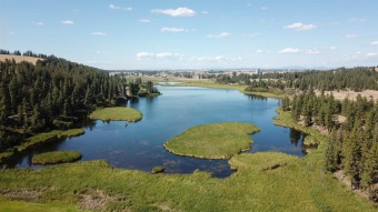 (private lake, pond, creek) Acreage For Sale in Cheney Washington