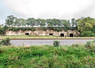 (private lake, pond, coastal) Commercial For Sale in Elsberry Missouri