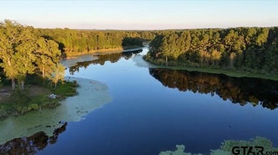 (private lake, pond, creek) Home For Sale in Hawkins Texas