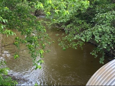 Located on a creek just off the river right down from the boat - photo 11