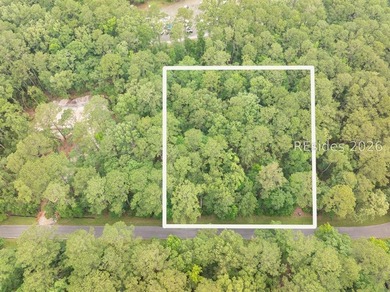 Fantastic homesite nestled in one of Beaufort County's most - photo 4