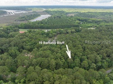 Fantastic homesite nestled in one of Beaufort County's most - photo 6