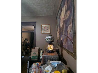 *** OWNER FINANCING IS A POSSIBILITY*** FENCED IN FRONT YARD - photo 7