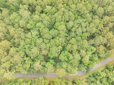 Fantastic homesite nestled in one of Beaufort County's most - photo 8