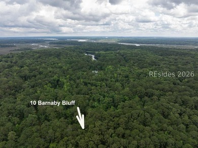 Fantastic homesite nestled in one of Beaufort County's most - photo 10