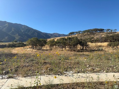 Utah Lake Lot For Sale in Salem Utah