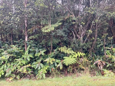 1 OF 2 LOTS BACK TO BACK: PERFECT FOR CONTRACTORS,OHANA - photo 2
