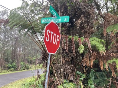 1 OF 2 LOTS BACK TO BACK: PERFECT FOR CONTRACTORS,OHANA - photo 4