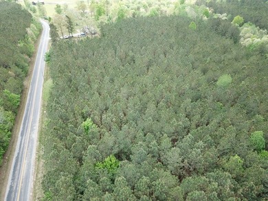PRICE REDUCED! Private 179 acre tract located in northwest - photo 2