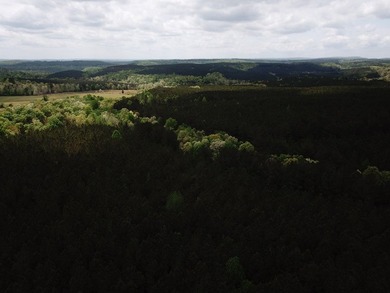 PRICE REDUCED! Private 179 acre tract located in northwest - photo 3