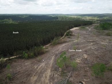 PRICE REDUCED! Private 179 acre tract located in northwest - photo 4