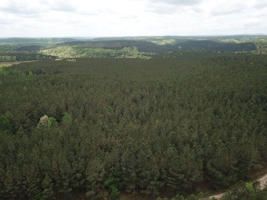 PRICE REDUCED! Private 179 acre tract located in northwest - photo 5
