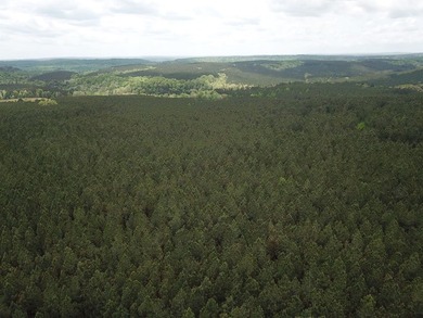 PRICE REDUCED! Private 179 acre tract located in northwest - photo 7