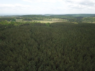 PRICE REDUCED! Private 179 acre tract located in northwest - photo 8