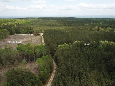 PRICE REDUCED! Private 179 acre tract located in northwest - photo 10