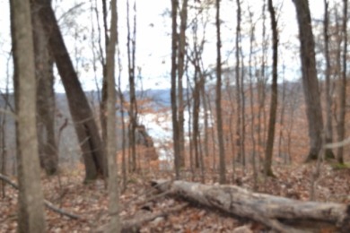 Dale Hollow Lake Lot For Sale in Burkesville Kentucky
