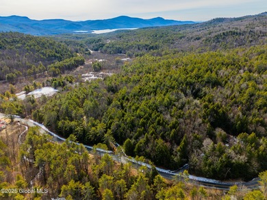 Set in the wilderness of Bolton, this raw Adirondack parcel - photo 2