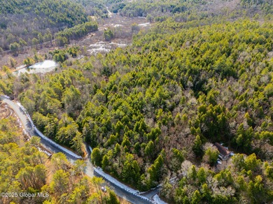 Set in the wilderness of Bolton, this raw Adirondack parcel - photo 3