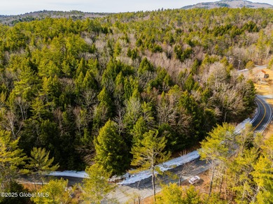 Set in the wilderness of Bolton, this raw Adirondack parcel - photo 4