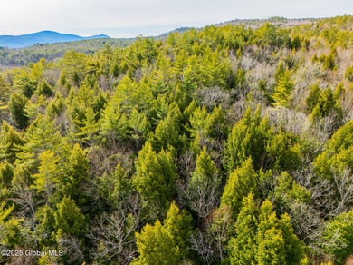 Set in the wilderness of Bolton, this raw Adirondack parcel - photo 5