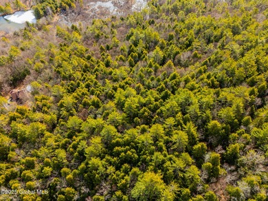 Set in the wilderness of Bolton, this raw Adirondack parcel - photo 6