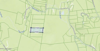 Set in the wilderness of Bolton, this raw Adirondack parcel - photo 7