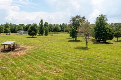 Exceptional 23.38-acre farm property featuring a 2022 primary - photo 20