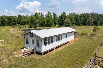 Exceptional 23.38-acre farm property featuring a 2022 primary - photo 21