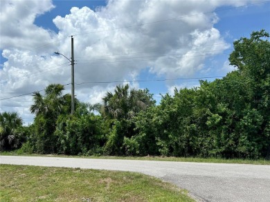 Peace River Lot For Sale in Punta Gorda Florida