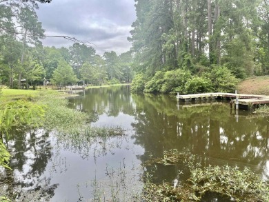 Are you looking for waterfront acreage with privacy & seclusion? - Lake Home For Sale in Hemphill, Texas