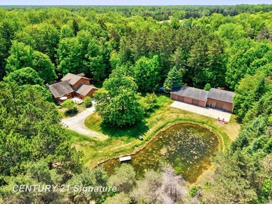Your Dream Homestead Awaits: 3-Bedroom Log Home with Exceptional - photo 5