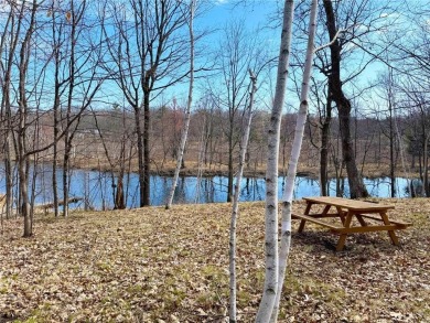 Lake Lot For Sale in Deerwood, Minnesota