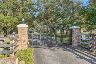 Lake Home Sale Pending in Alva, Florida