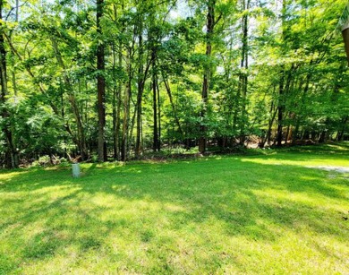 Lake Lot For Sale in Hardy, Virginia