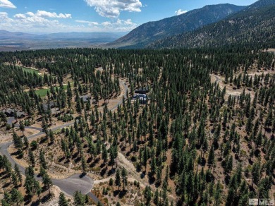 Lake Tahoe - Douglas County Acreage For Sale in Carson City Nevada