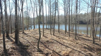(private lake, pond, creek) Acreage For Sale in Beech Bluff Tennessee