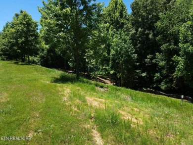 Prime Lake front property with 108' of frontage,, main channel - Lake Lot For Sale in Rockwood, Tennessee