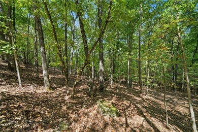 Beautiful Golf Course Lot Awaits Your Custom Built Dream Home! - photo 12