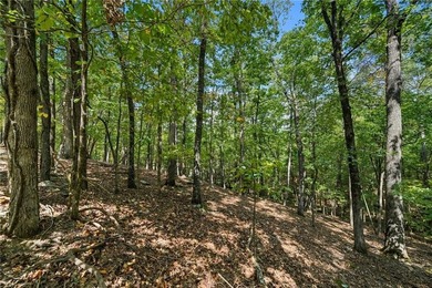 Beautiful Golf Course Lot Awaits Your Custom Built Dream Home! - photo 13