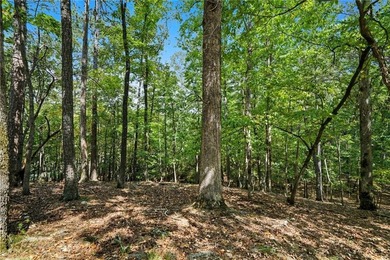 Beautiful Golf Course Lot Awaits Your Custom Built Dream Home! - photo 14