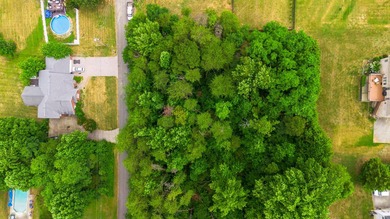 Great views in all directions. Scenic 0.5-Acre Vacant Lot in the - photo 4