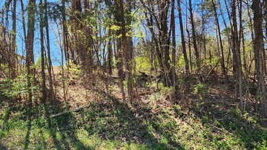 Great views in all directions. Scenic 0.5-Acre Vacant Lot in the - photo 8