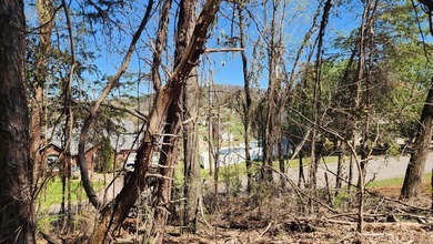 Great views in all directions. Scenic 0.5-Acre Vacant Lot in the - photo 9