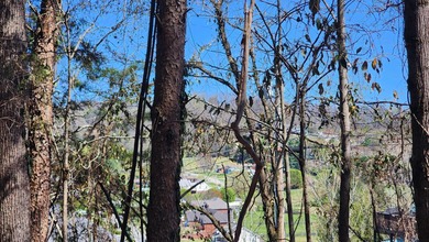 Great views in all directions. Scenic 0.5-Acre Vacant Lot in the - photo 10