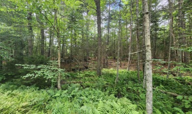 Lake Lot For Sale in Washington, New Hampshire