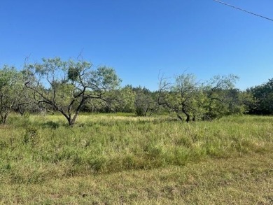 Lake Whitney Lot For Sale in Whitney Texas