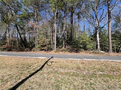 Wooded lot in Colony Cove subdivision on Myers Creek-Lancaster - photo 3